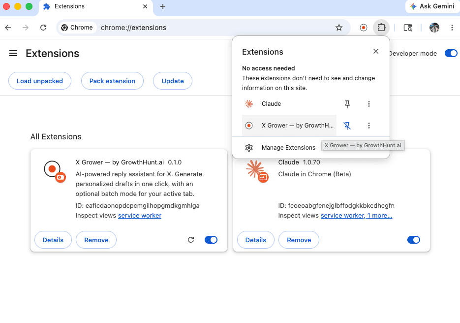 pinned extension popup